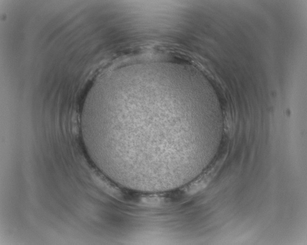 X0000065240470200603131107