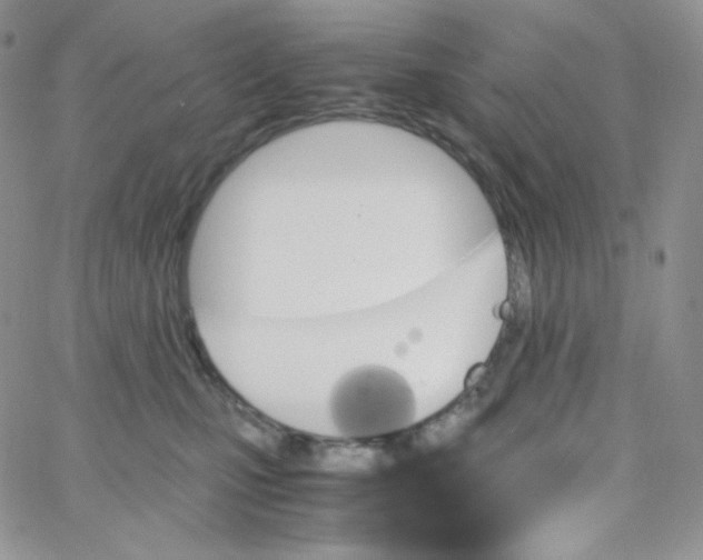 X0000065240471200603131107
