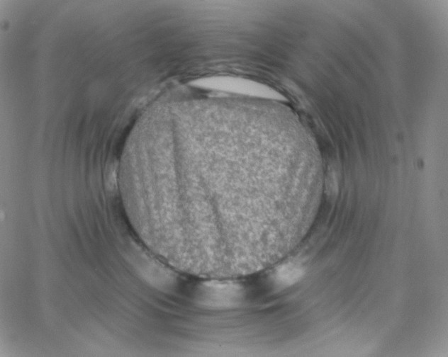 X0000065240477200603131107