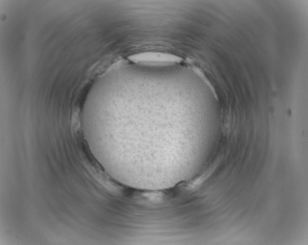 X0000065240478200603131107