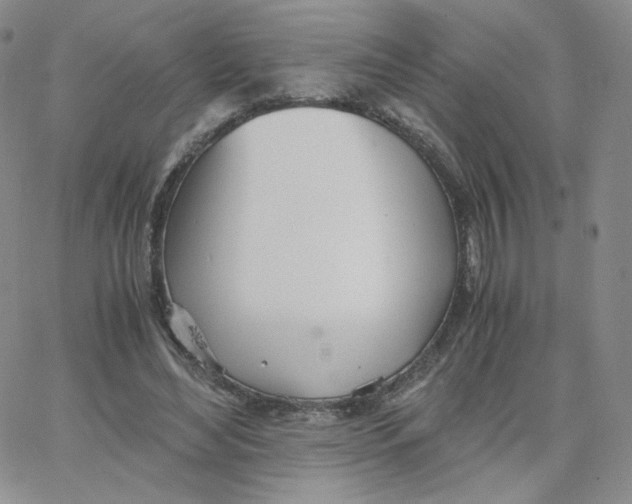 X0000065240492200603131106