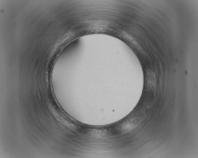 X0000065240494200603131106