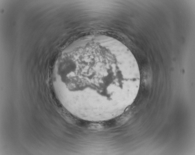 X0000065240519200603131106