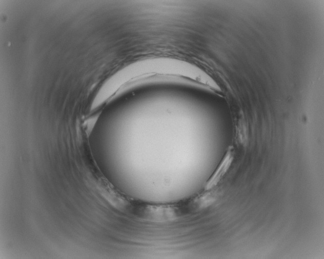 X0000065240520200603131106