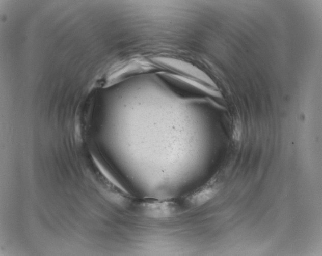 X0000065240524200603131106