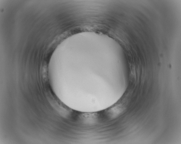 X0000065240526200603131106