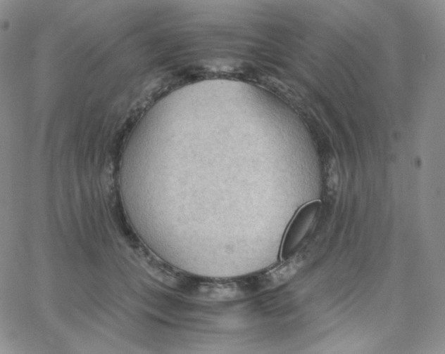 X0000065240559200603131106