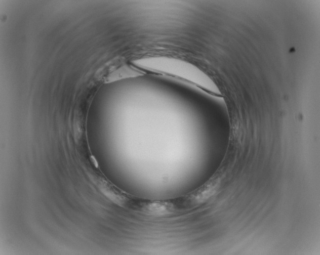 X0000065240566200603131106