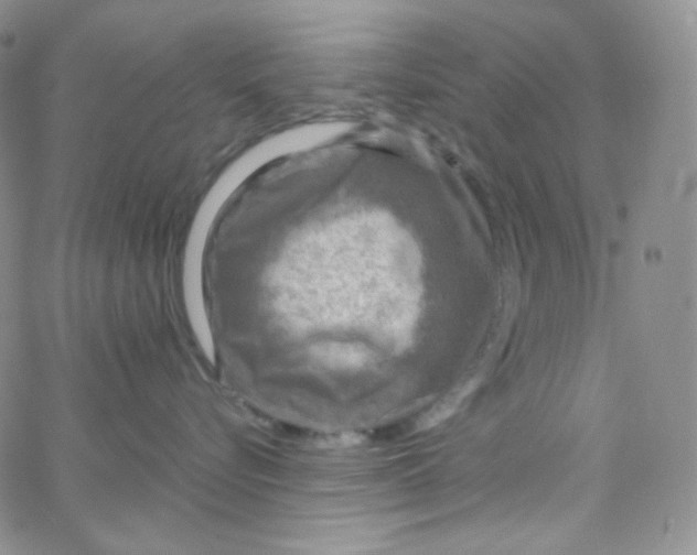 X0000065240576200603131106