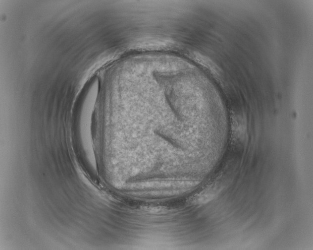 X0000065240582200603131105