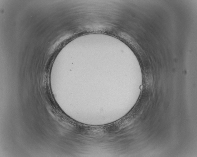 X0000065240583200603131105