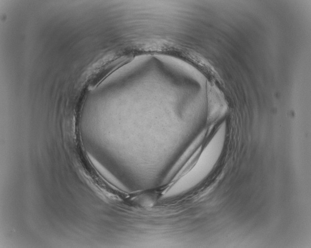 X0000065240589200603131105