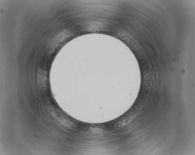 X0000065240592200603131105