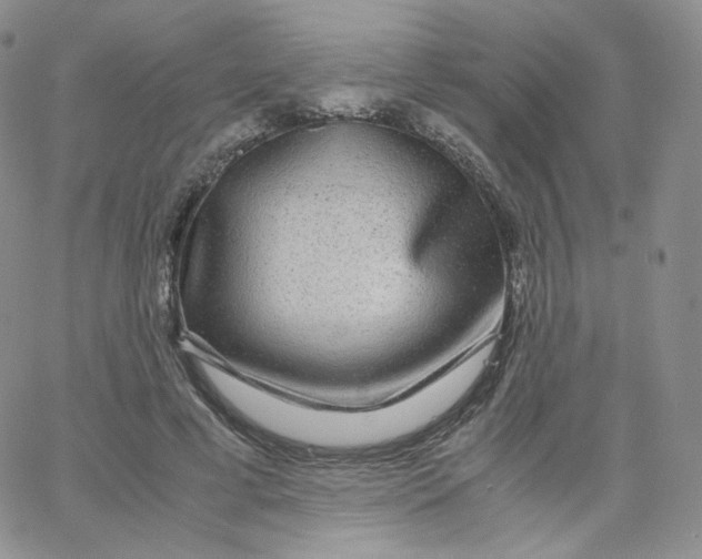 X0000065240593200603131105
