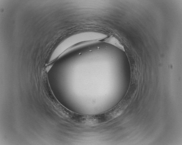 X0000065240601200603131105