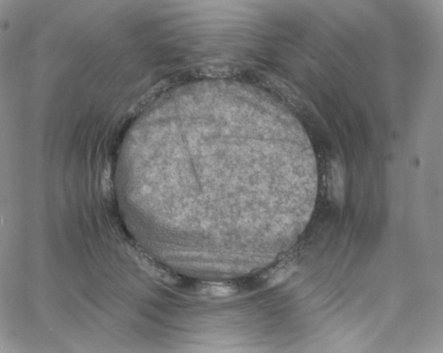 X0000065240610200603131105