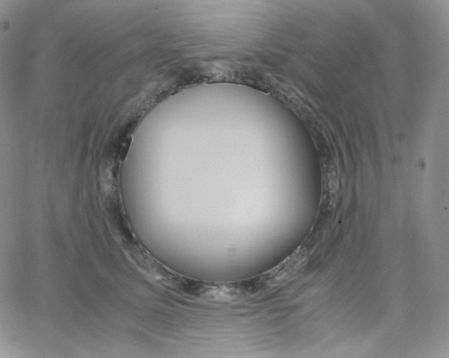 X0000065240611200603131105