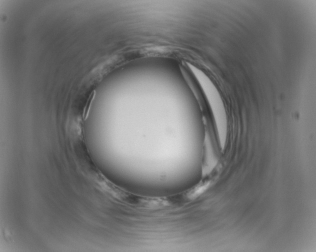 X0000065240621200603131104