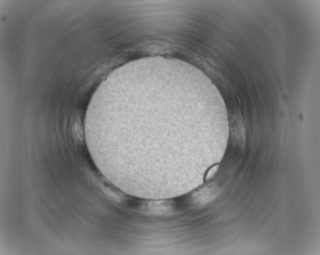 X0000065240622200603131104