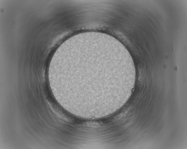 X0000065240636200603131104