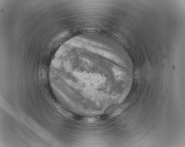 X0000065240662200603131104
