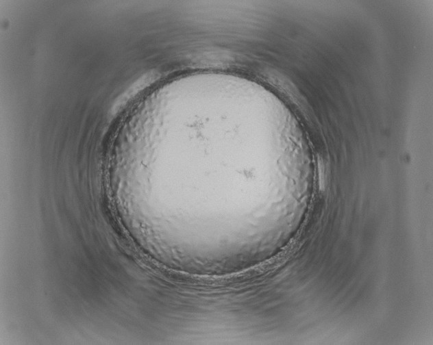X0000065240675200603131103