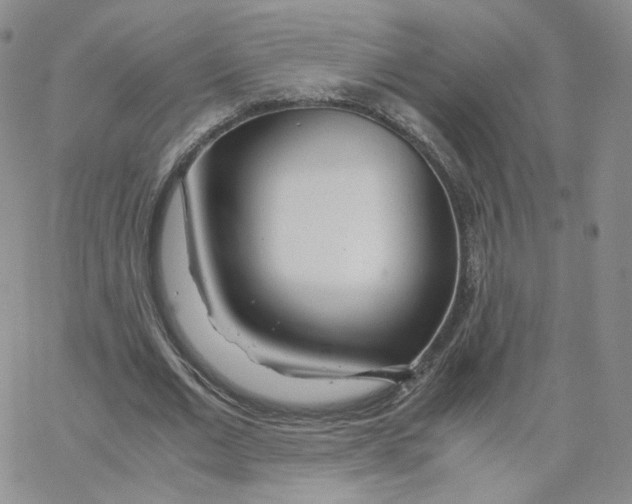 X0000065240677200603131103