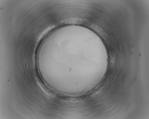 X0000065240678200603131103