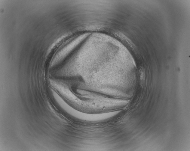 X0000065240684200603131103