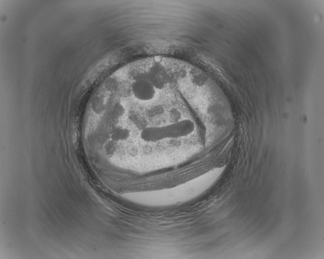 X0000065240687200603131103