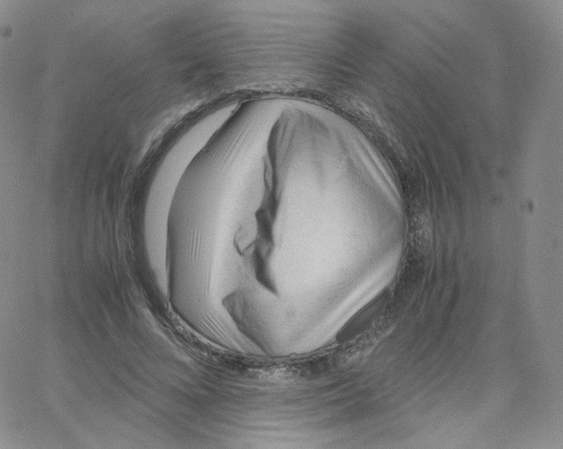 X0000065240688200603131103