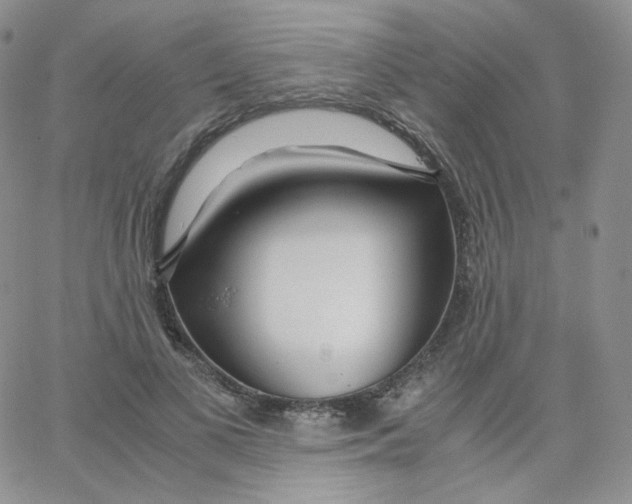 X0000065240693200603131103