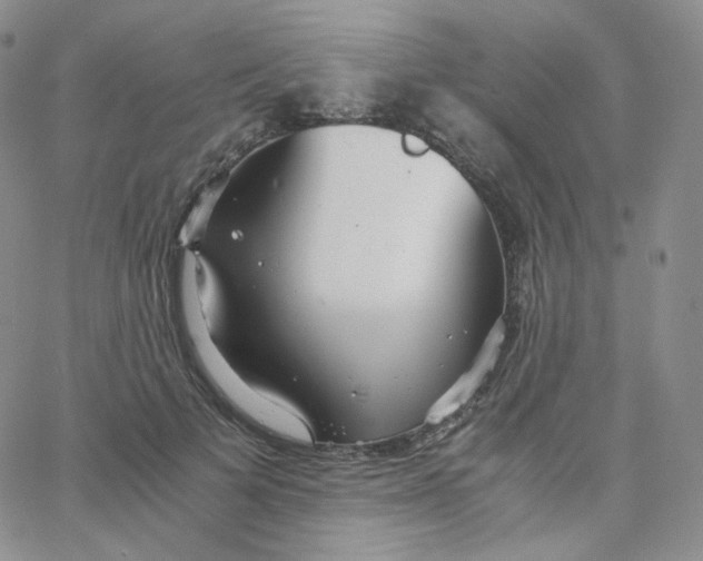 X0000065240697200603131103