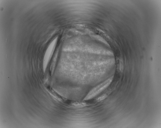 X0000065240712200603131103