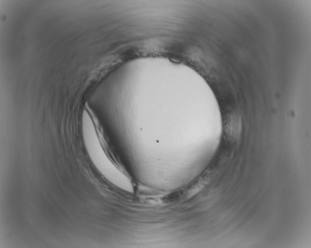 X0000065240715200603131103