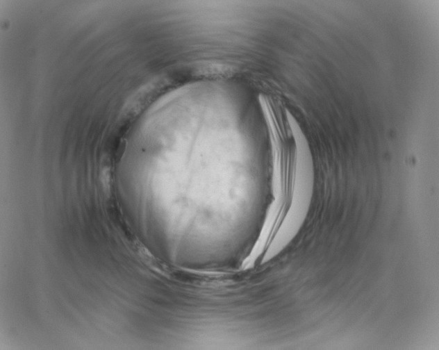 X0000065240716200603131103