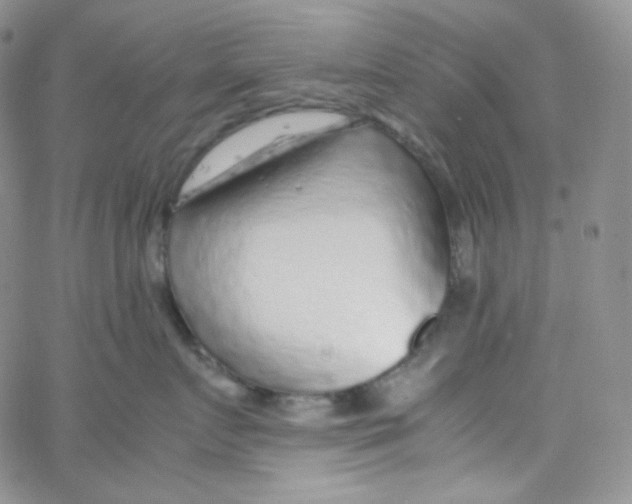 X0000065240719200603131103