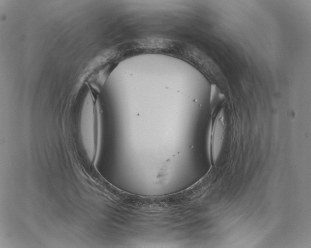 X0000065240731200603131102