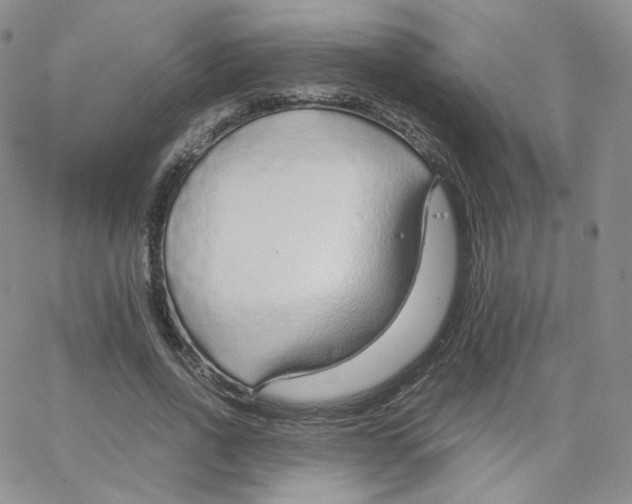 X0000065240734200603131102