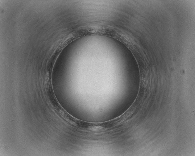 X0000065240748200603131102