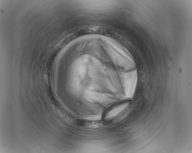 X0000065240754200603131102