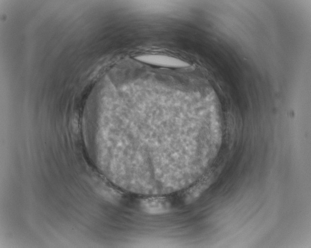 X0000065240761200603131103