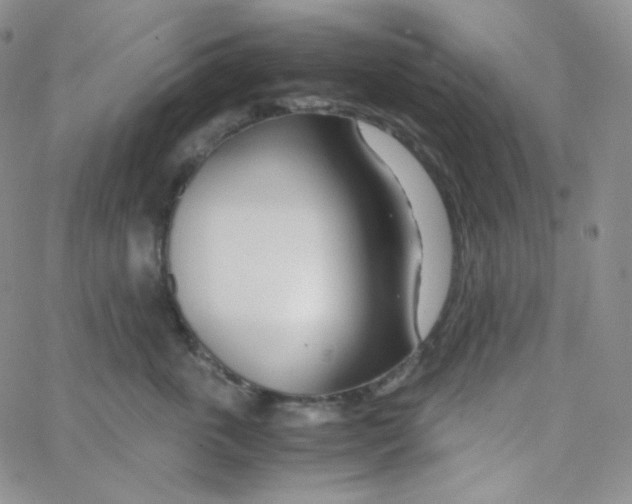 X0000065240763200603131103