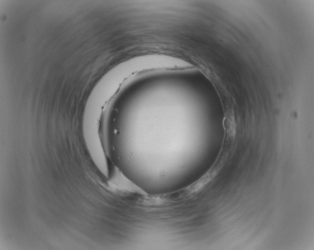 X0000065240766200603131103