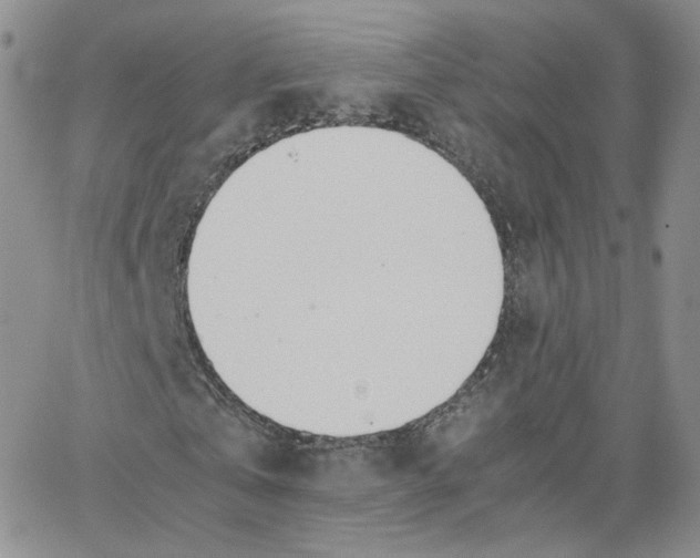 X0000065240769200603131102