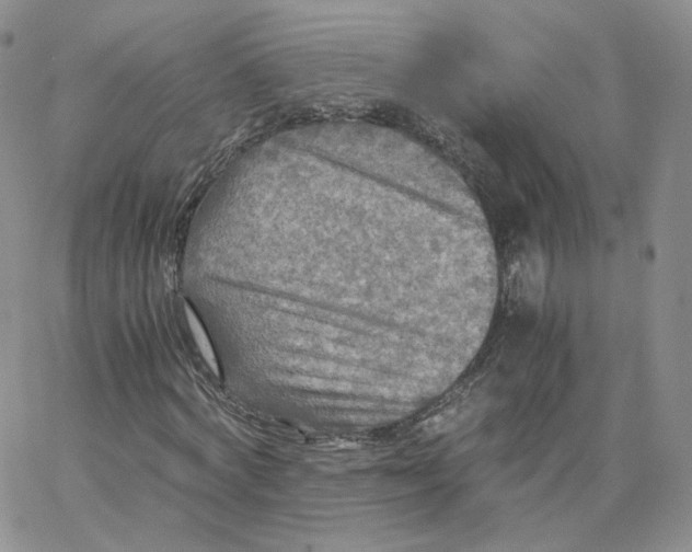 X0000065240772200603131102