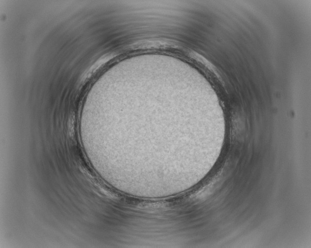 X0000065240778200603131102
