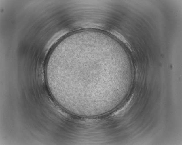 X0000065240782200603131102