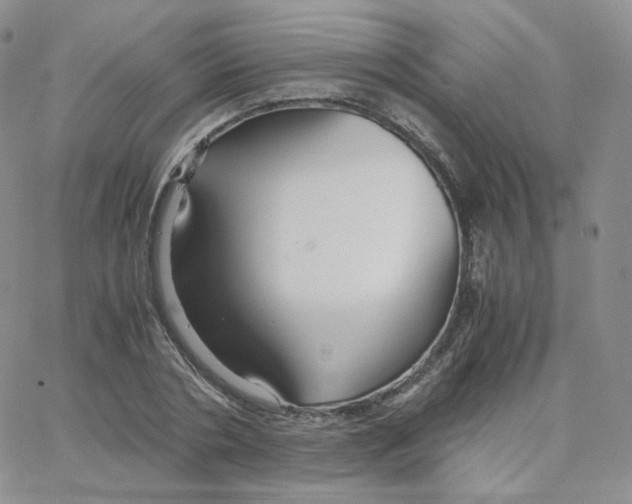 X0000065240786200603131102