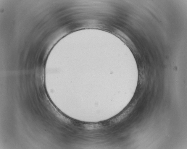 X0000065240804200603131101